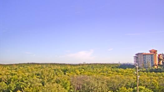 Weather camera view of WTSP-TV.