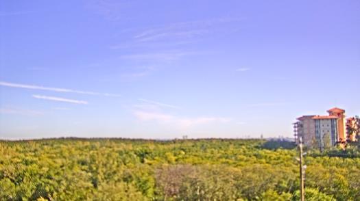 Weather camera view of WTSP-TV.