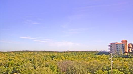 Weather camera view of WTSP-TV.