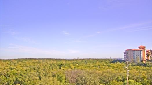 Weather camera view of WTSP-TV.