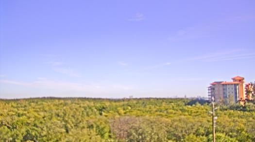 Weather camera view of WTSP-TV.