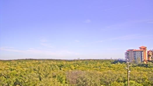 Weather camera view of WTSP-TV.