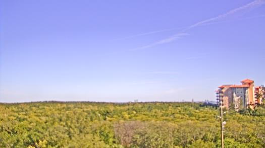 Weather camera view of WTSP-TV.