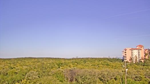 Weather camera view of WTSP-TV.