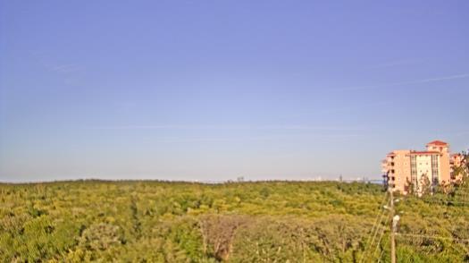 Weather camera view of WTSP-TV.