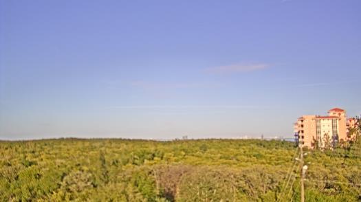 Weather camera view of WTSP-TV.