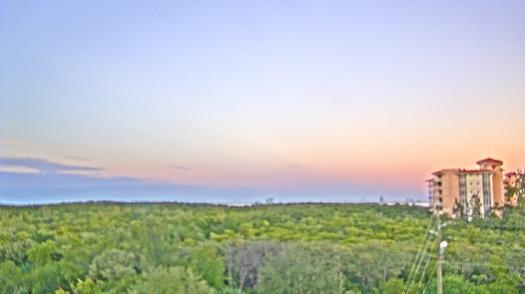 Weather camera view of WTSP-TV.