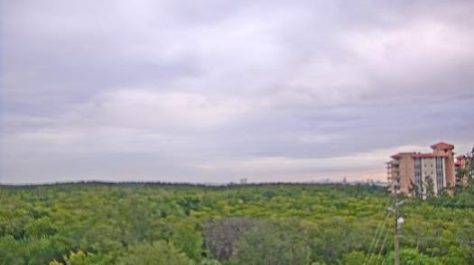 Weather camera view of WTSP-TV.