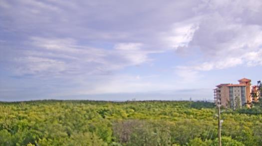 Weather camera view of WTSP-TV.