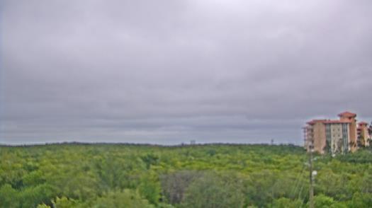 Weather camera view of WTSP-TV.