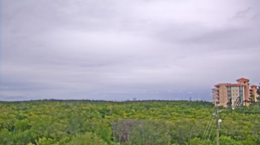 Weather camera view of WTSP-TV.