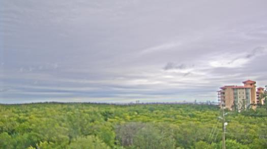 Weather camera view of WTSP-TV.