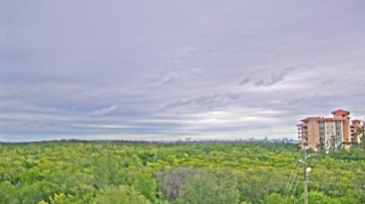 Weather camera view of WTSP-TV.