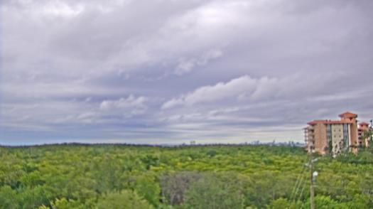 Weather camera view of WTSP-TV.