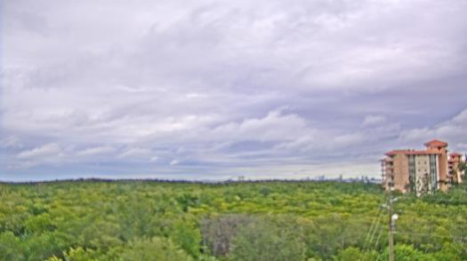 Weather camera view of WTSP-TV.