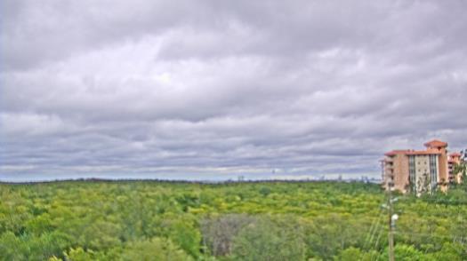 Weather camera view of WTSP-TV.