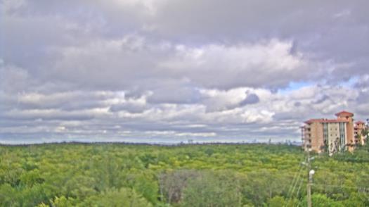 Weather camera view of WTSP-TV.