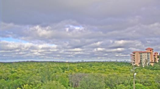 Weather camera view of WTSP-TV.