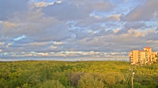 Weather camera view of WTSP-TV.