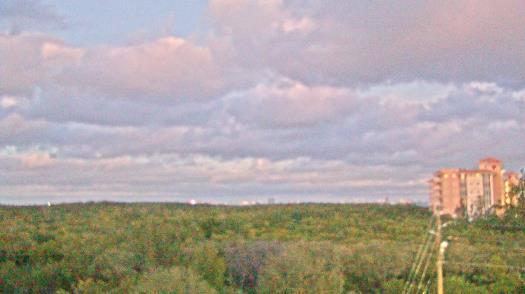 Weather camera view of WTSP-TV.