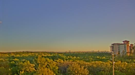 Weather camera view of WTSP-TV.