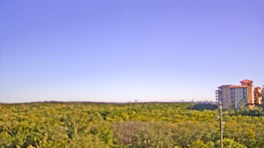 Weather camera view of WTSP-TV.