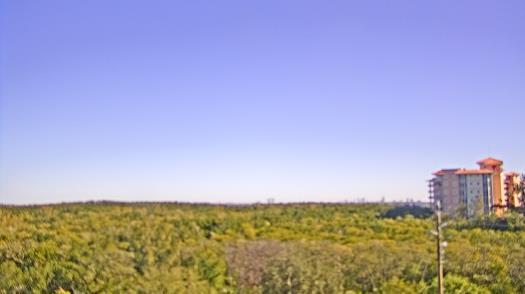 Weather camera view of WTSP-TV.