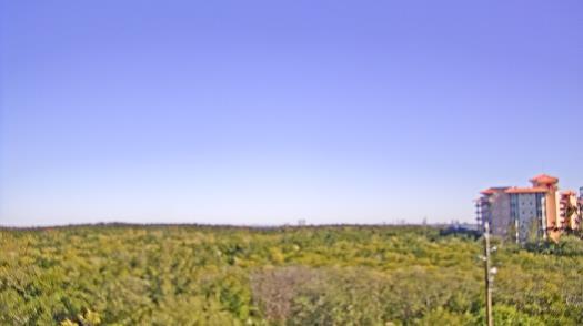 Weather camera view of WTSP-TV.