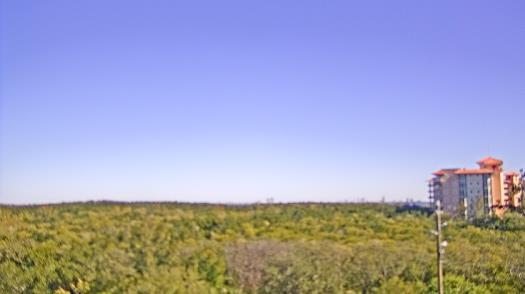 Weather camera view of WTSP-TV.