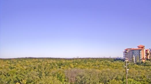 Weather camera view of WTSP-TV.