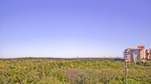 Weather camera view of WTSP-TV.