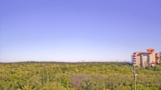 Weather camera view of WTSP-TV.