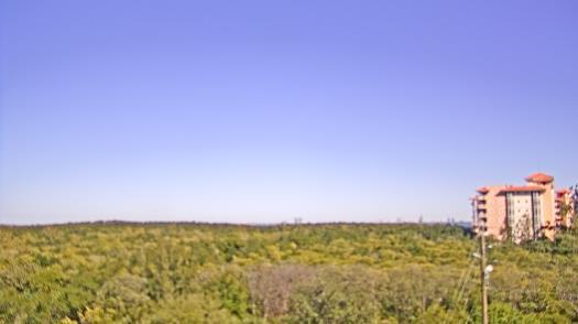 Weather camera view of WTSP-TV.