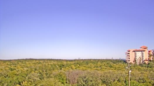 Weather camera view of WTSP-TV.