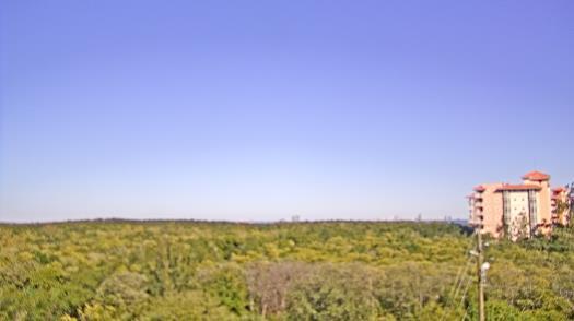 Weather camera view of WTSP-TV.