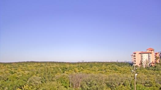 Weather camera view of WTSP-TV.