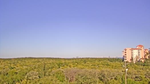 Weather camera view of WTSP-TV.