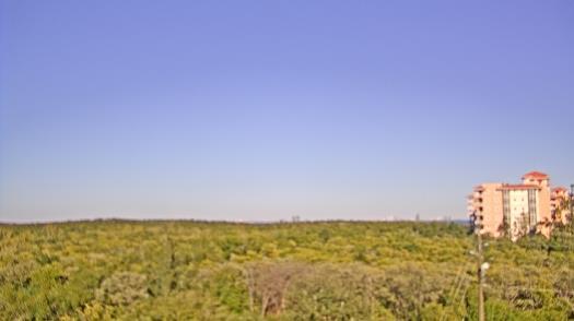 Weather camera view of WTSP-TV.