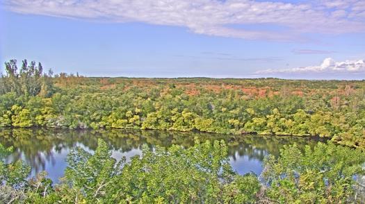 Weather camera view of WTSP-TV.