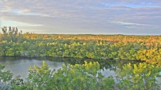 Weather camera view of WTSP-TV.