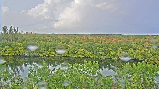 Weather camera view of WTSP-TV.