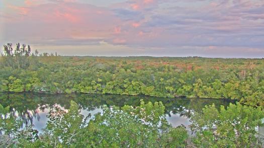 Weather camera view of WTSP-TV.