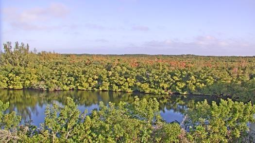 Weather camera view of WTSP-TV.