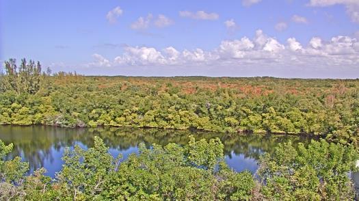 Weather camera view of WTSP-TV.