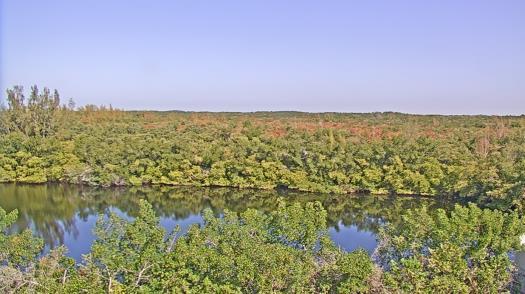 Weather camera view of WTSP-TV.