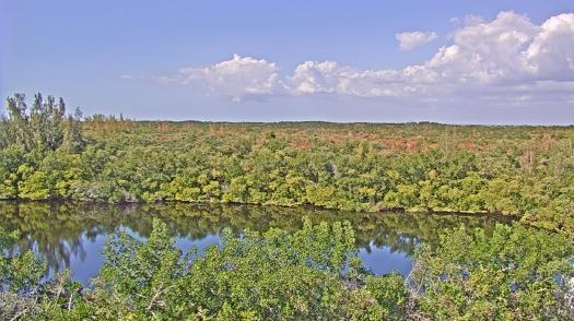 Weather camera view of WTSP-TV.