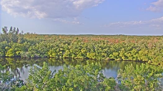 Weather camera view of WTSP-TV.