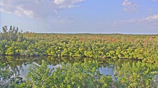 Weather camera view of WTSP-TV.