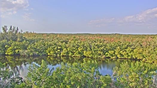 Weather camera view of WTSP-TV.