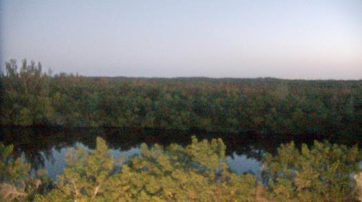 Weather camera view of WTSP-TV.